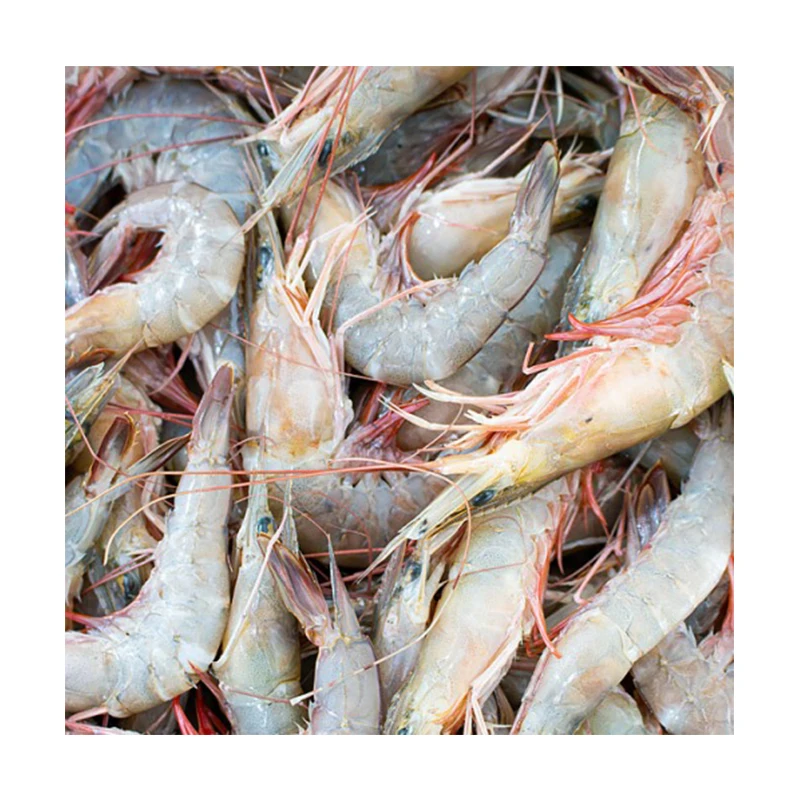 Dried Shrimp Premium frozen vannamei shrimp with good factory price from Ecuador