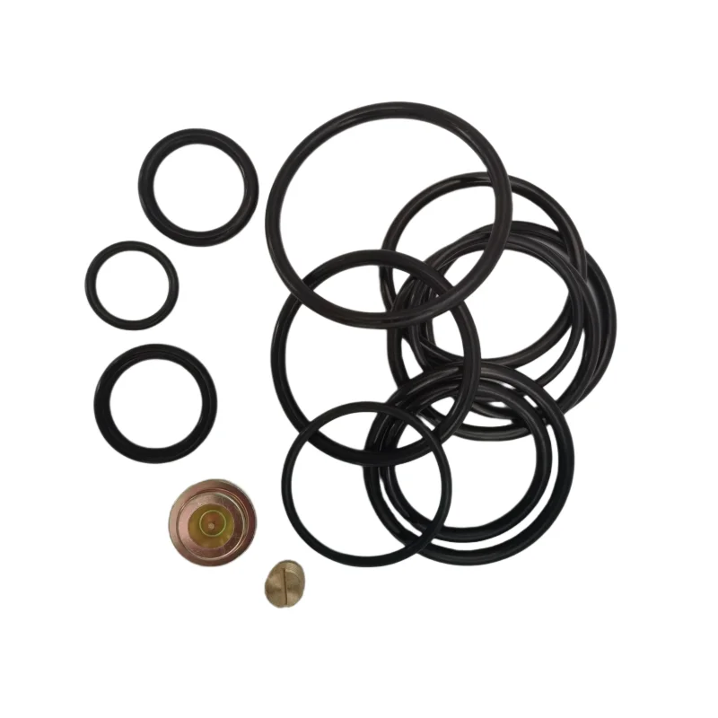 China Supplier Good Acid Resistance FKM DWS 358 COMPACT Redress Kits