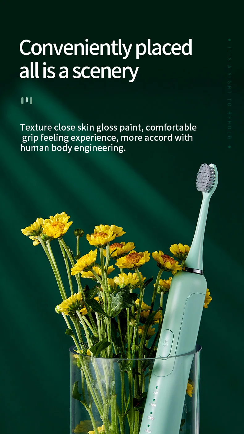 Replaceable Brush Head Electric Toothbrush Waterproof Sonic Vibration Electric Toothbrushes