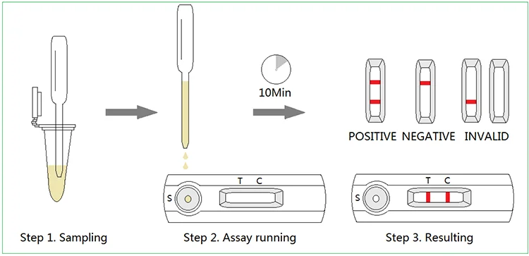 Relaxin Rapid Test.png