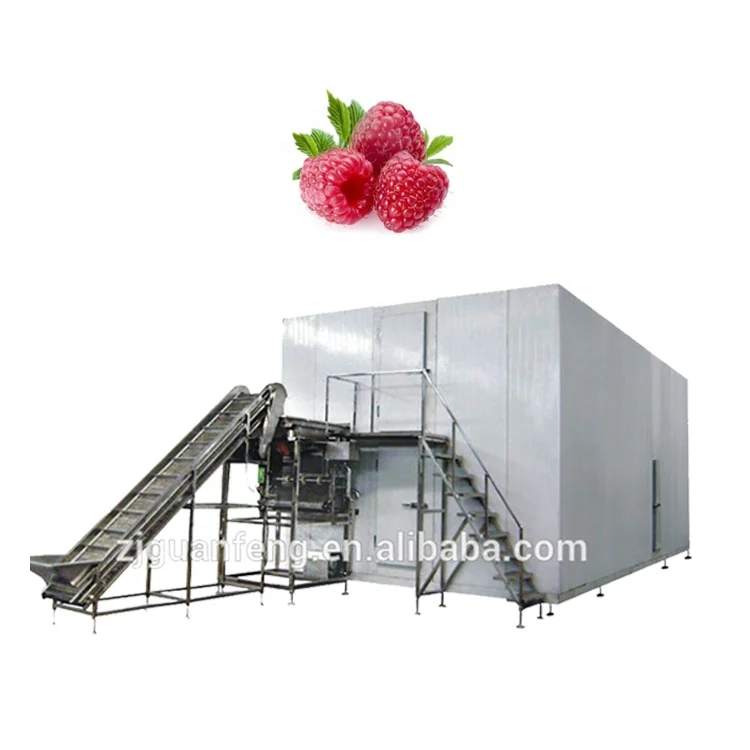 Automatic Sweet Corn Carrots Iqf Quick Freezing Machine Iqf Tunnel Frozen Peas Processing Plant