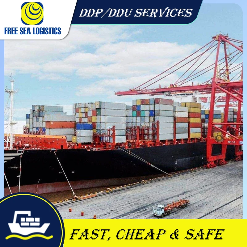 customs clearance services Agent From China to Saudi Arabia/UAE  DDP freight forwarder sea shipping