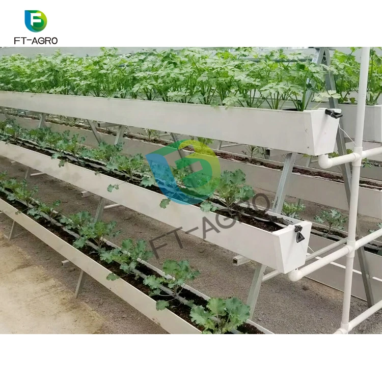A Type Planting Frame Hydroponic Growing System For Greenhouse