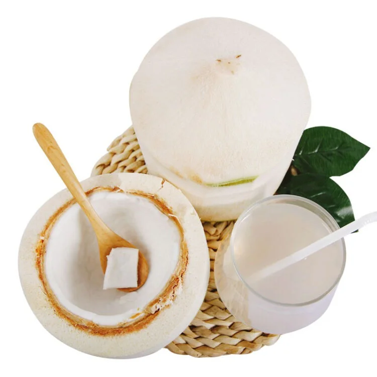 Tropical Flavored Fruits Young Coconuts Green Coconuts With Cold-Chain Transportation