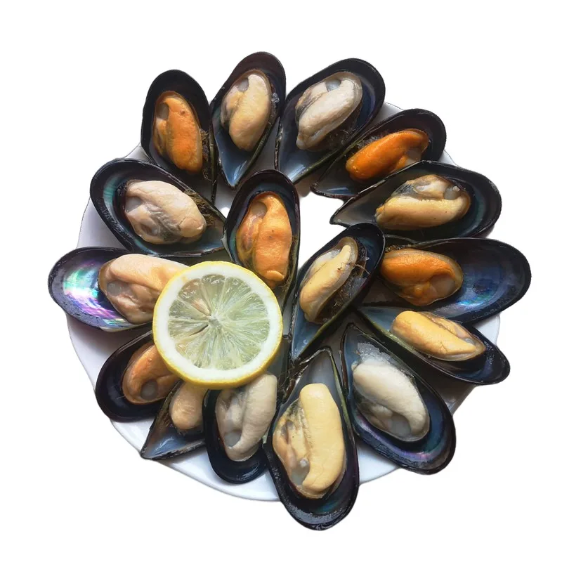 China seafood manufacturers, suppliers , exporters on frozen boiled mussel meat