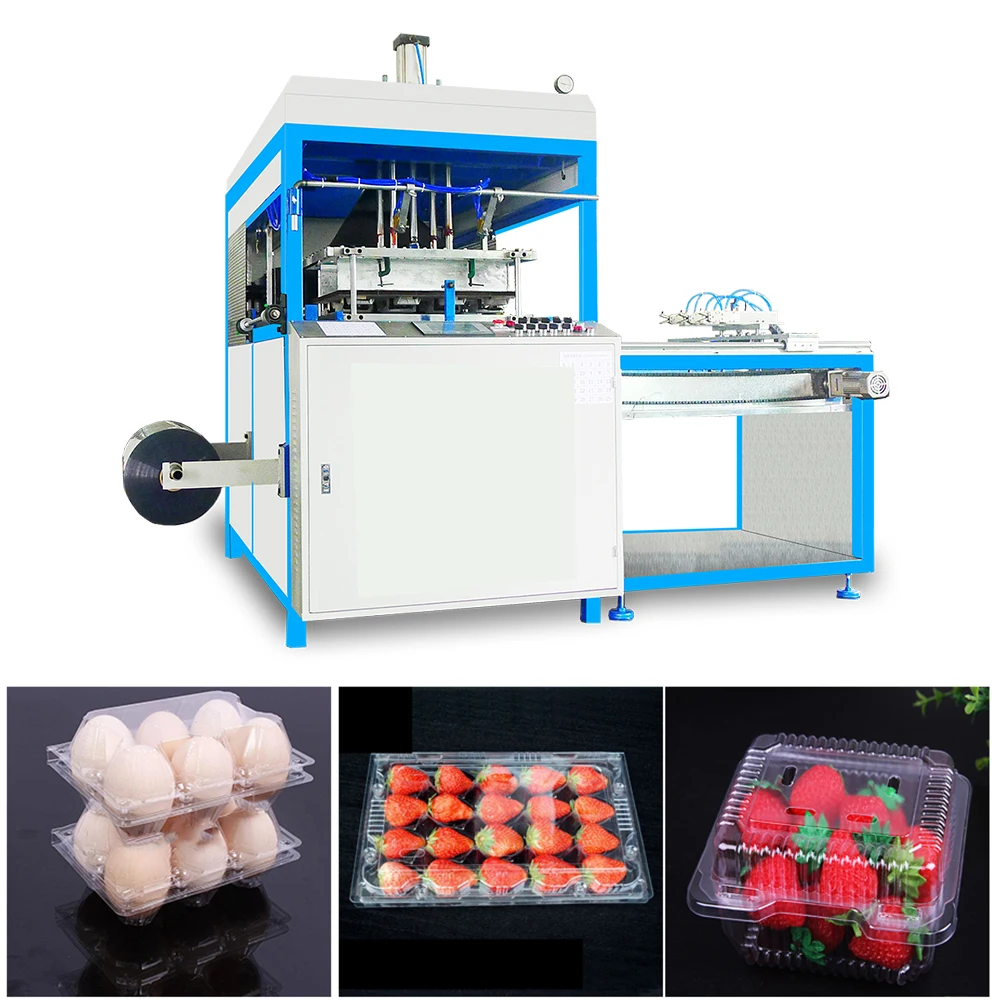 Plastic thermoforming egg tray blister forming machine disposable food container making
