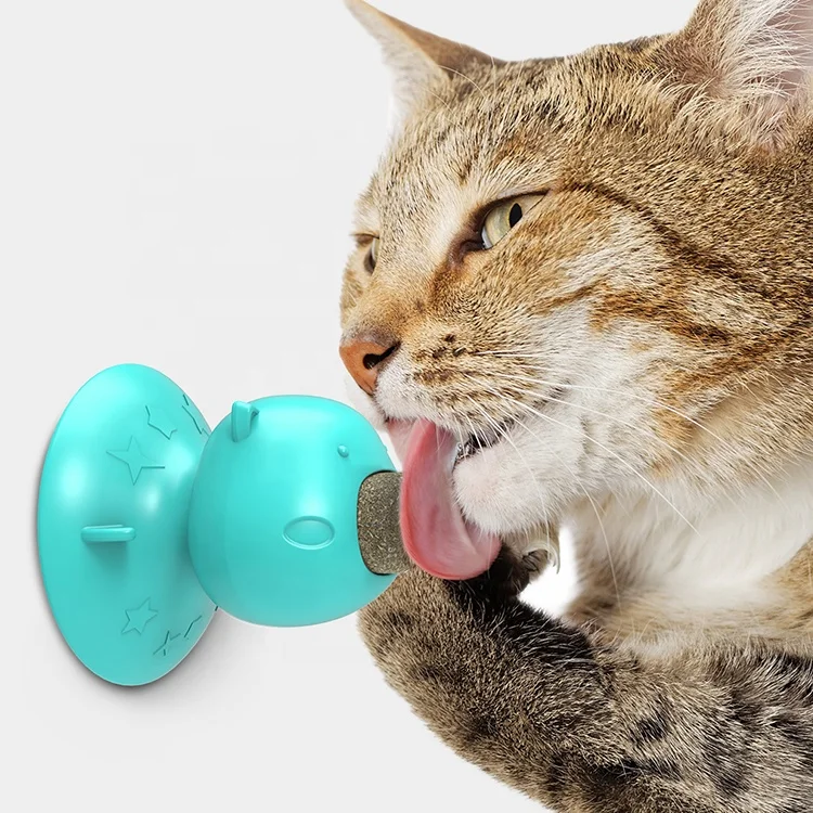  Promotional Multifunctional Cat Toys Teeth Cleaning Natural Catnip With Suction Cup For