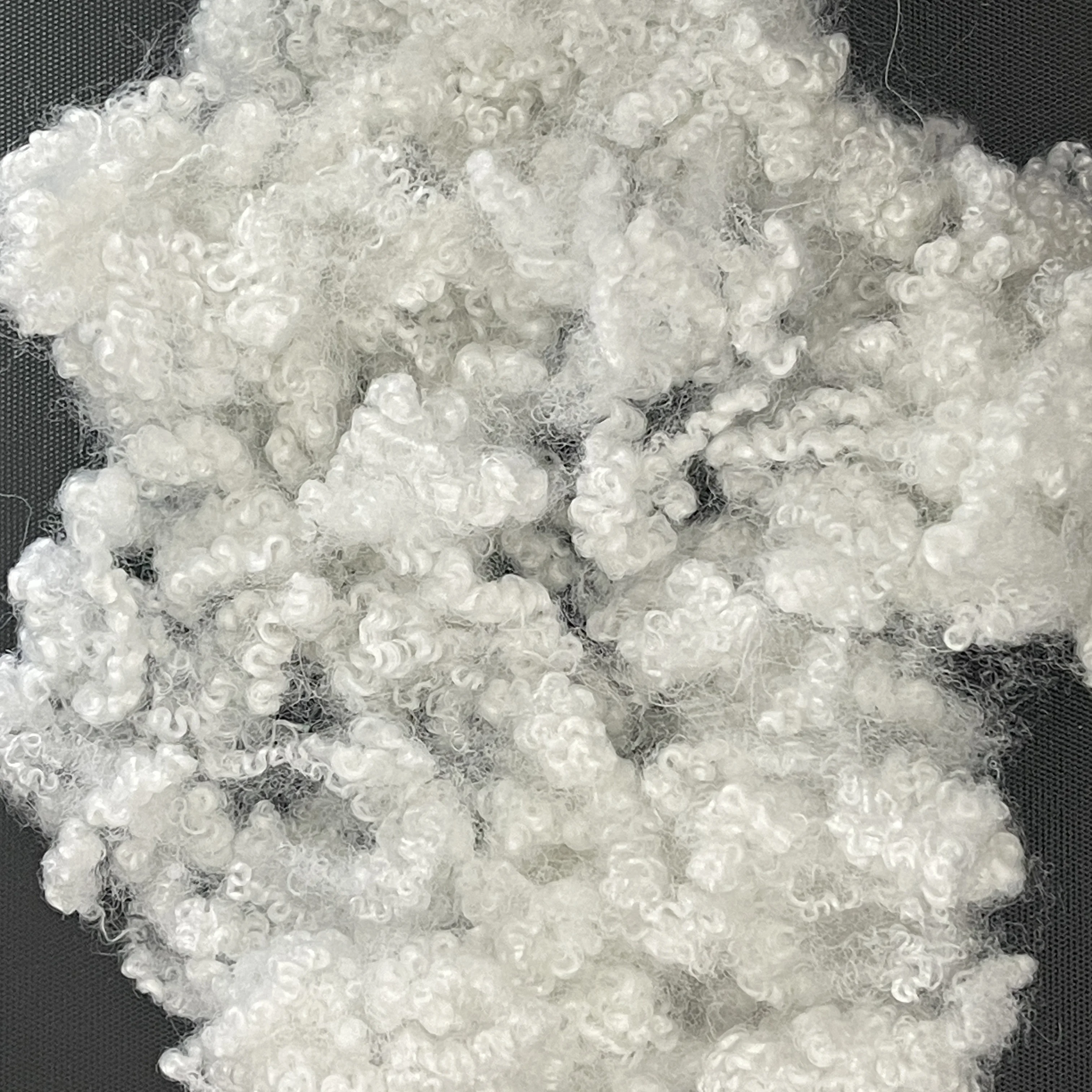 Polyester Hollow Conjugated Silicon Fiber 7D * 64mm HCS Staple for Garment Filling Wholesale