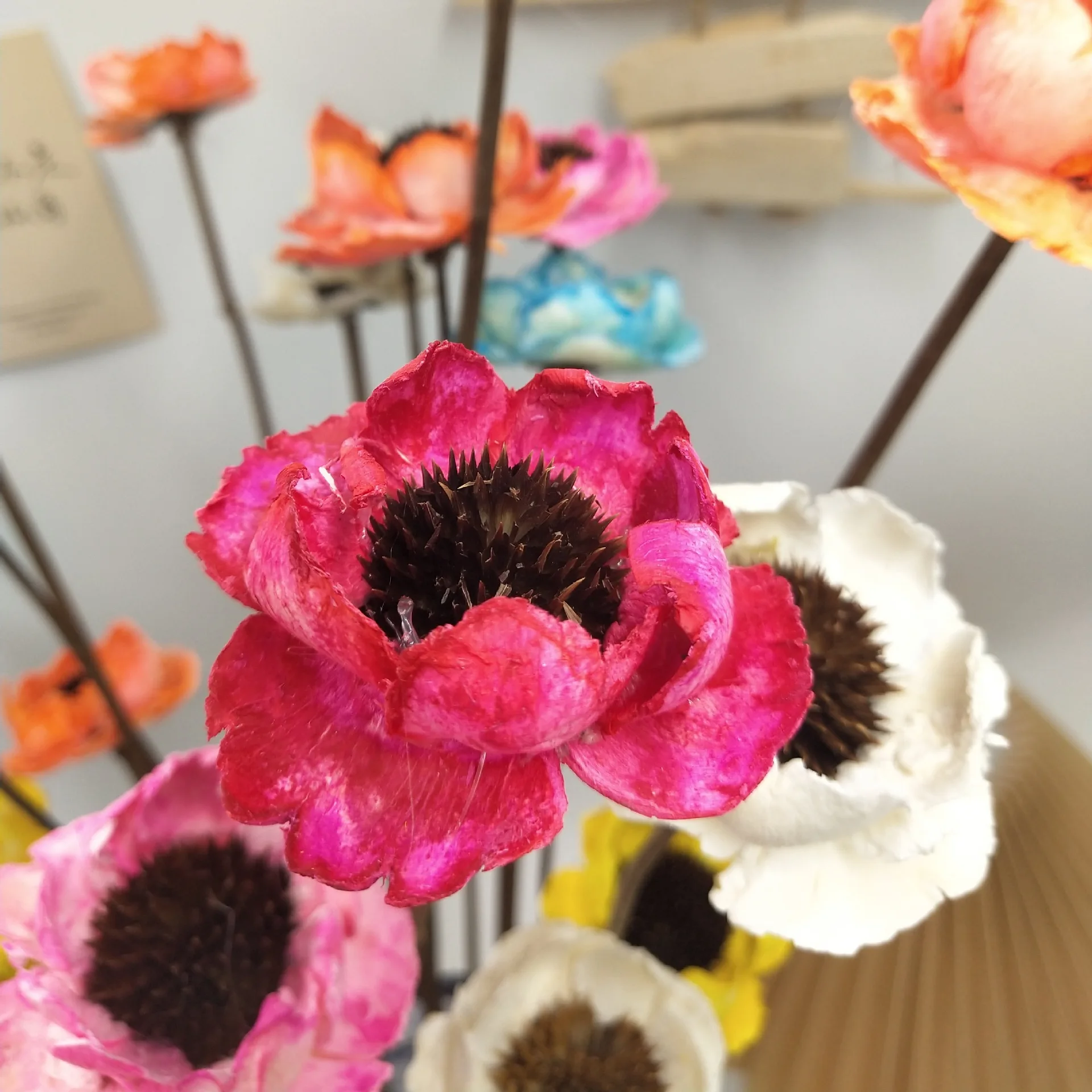 Dried artificial corn poppy flower crafts , hand made by natural coconut,home decor, floral arrangement