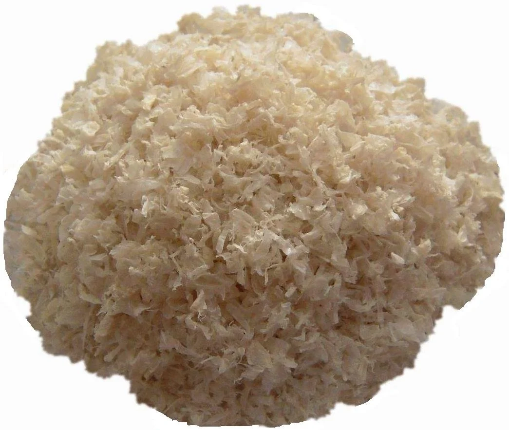 Chitosan powder that effectively prevents nematodes and enhances crop resistance