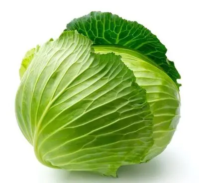 High Quality Healthy Snack Freeze Dried Vegetable Fd Cabbage  Freeze Dried Green Cabbage Source Manufacturer From China