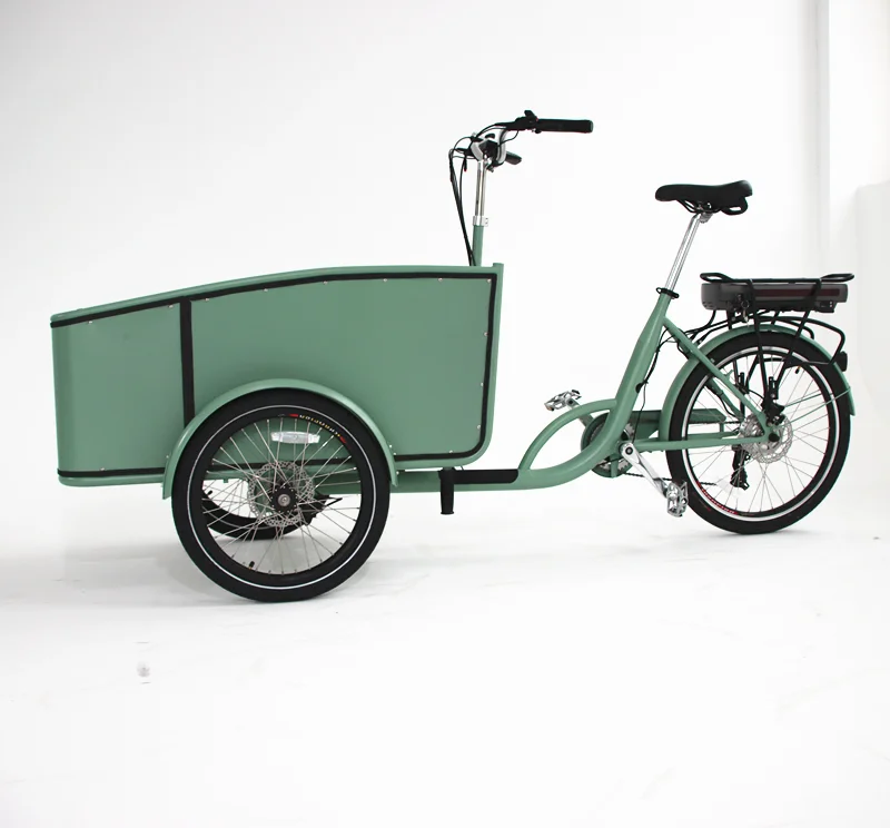 3 Wheel Adult Cargo Bike Electric Family Cargo Tricycle Front Loading Cargo Bicycle