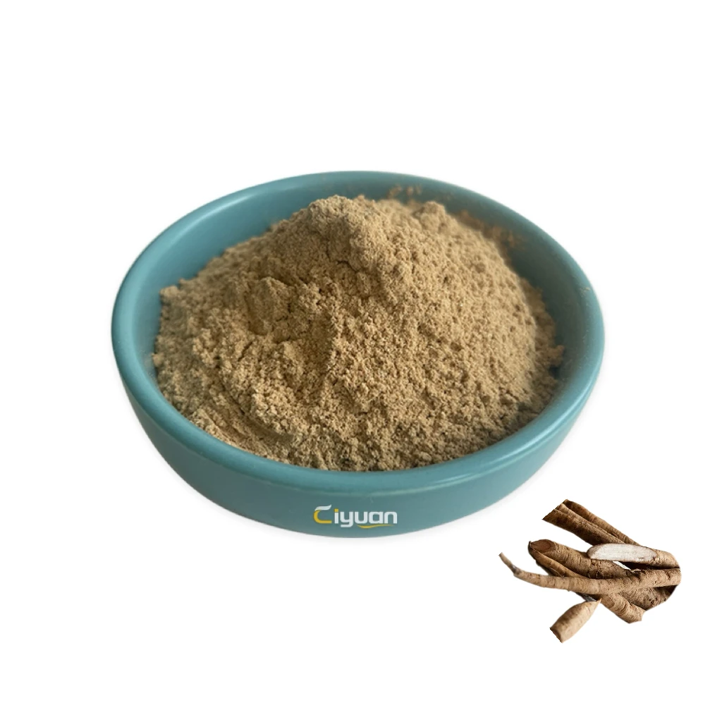 Ciyuan Bio High Quality  niu bang gen burdock root Arctium Lappa Burdock Root Extract