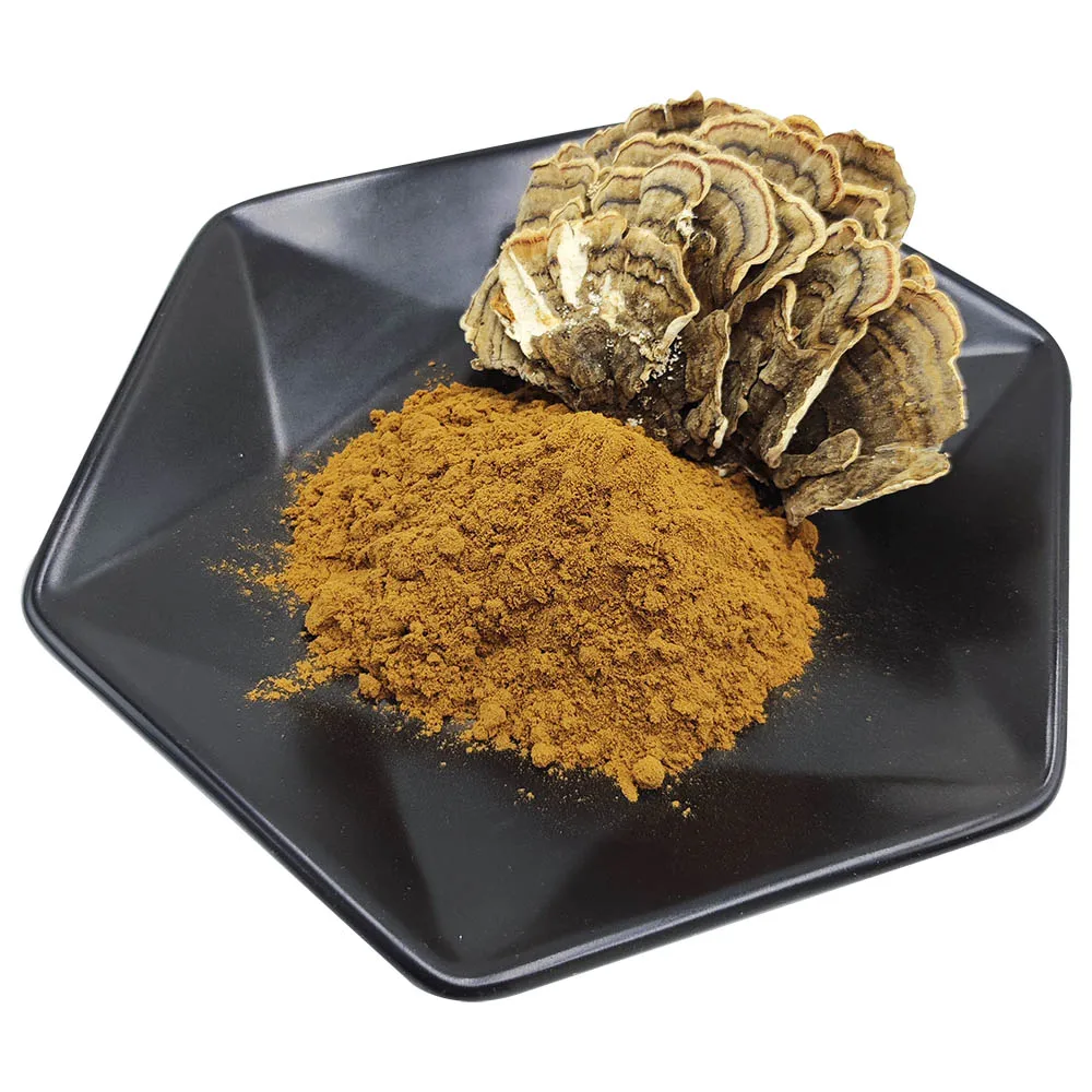 Natural Organic Grifola Frondosa Maitake Mushroom Extract Powder