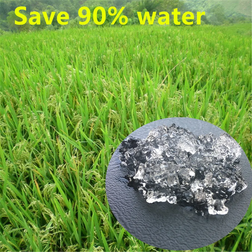 China Manufacturer Hydrogel Sap Agricultural Potassium Acrylate Water Retaining Agent With Best Quality