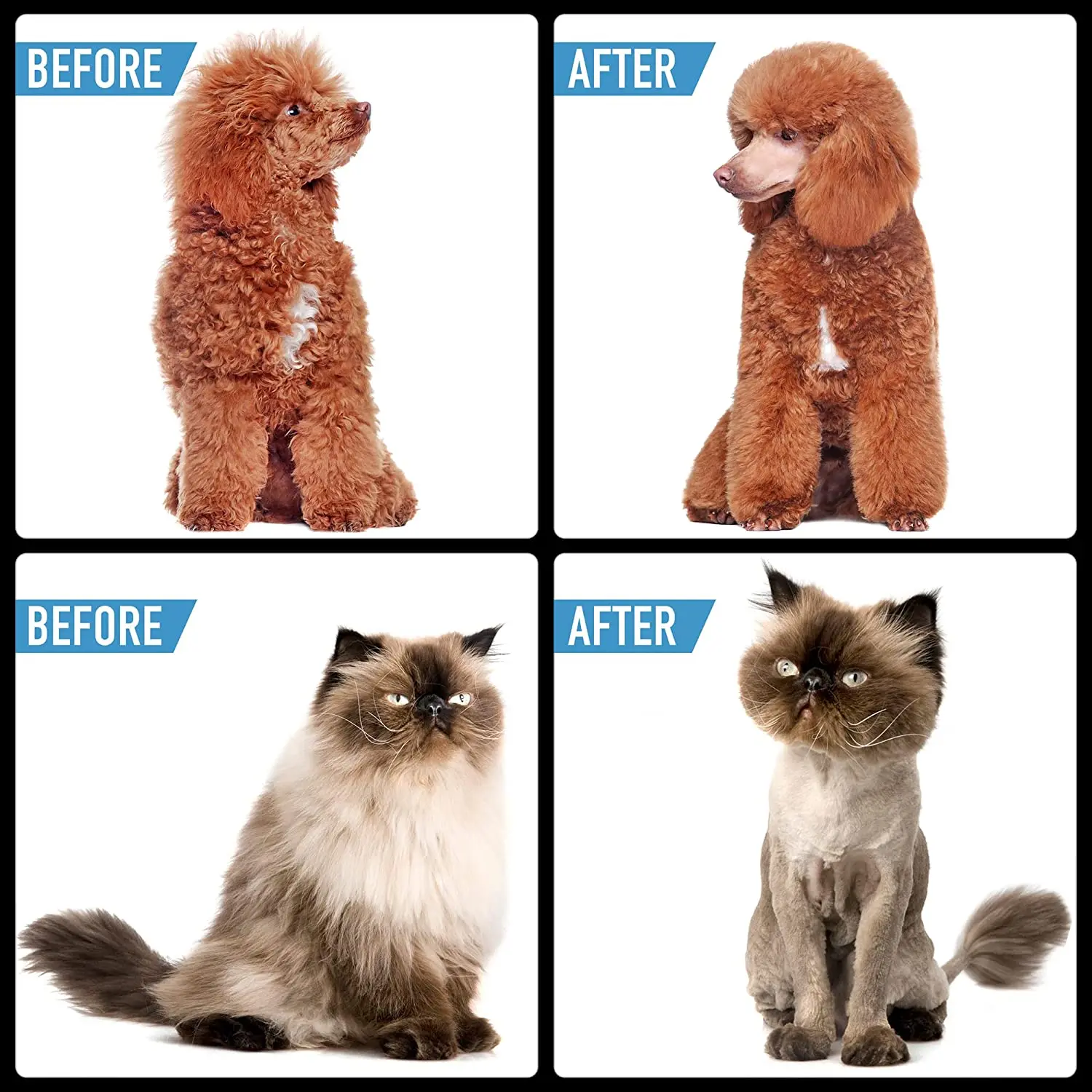 Pet Dog Hair Trimmer Animal Rechargeable Electrical Replacement Head Pet Hair Clipper for Dogs Cat Waterproof Trimmer Charge