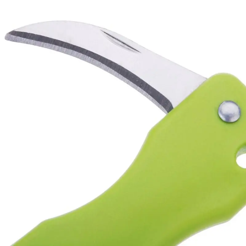 Kitchen Tools Multi Function Fish Scales Scrapper Home Stainless Steel Blade Fish Scale Removing Brush