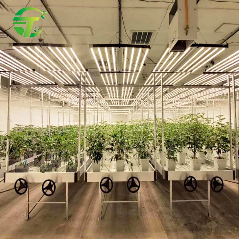 Greenhouse hydroponic system 4ft by 8ft rolling growing table ebb and flow flood ABS bench