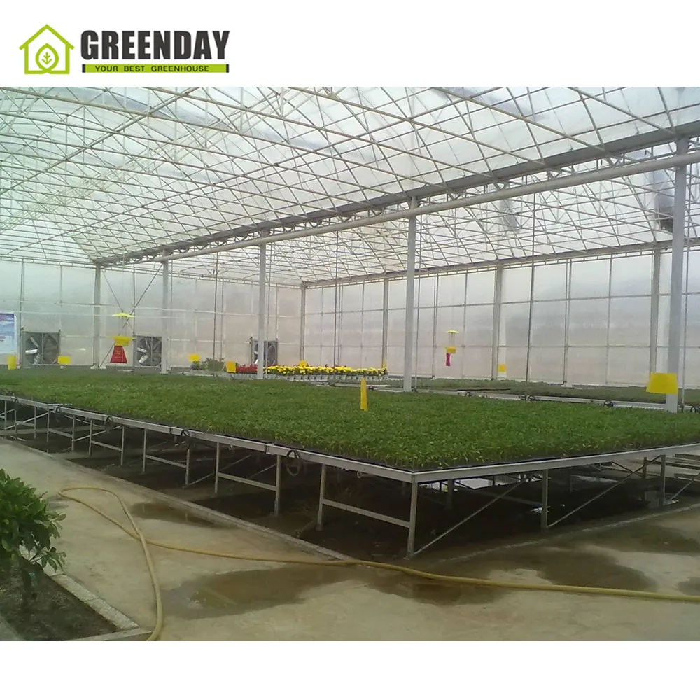 
GREENDAY Commercial wind resistance wooden mini wood glass 10mm polycarbonate sheet greenhouse for home agricultural used sale 