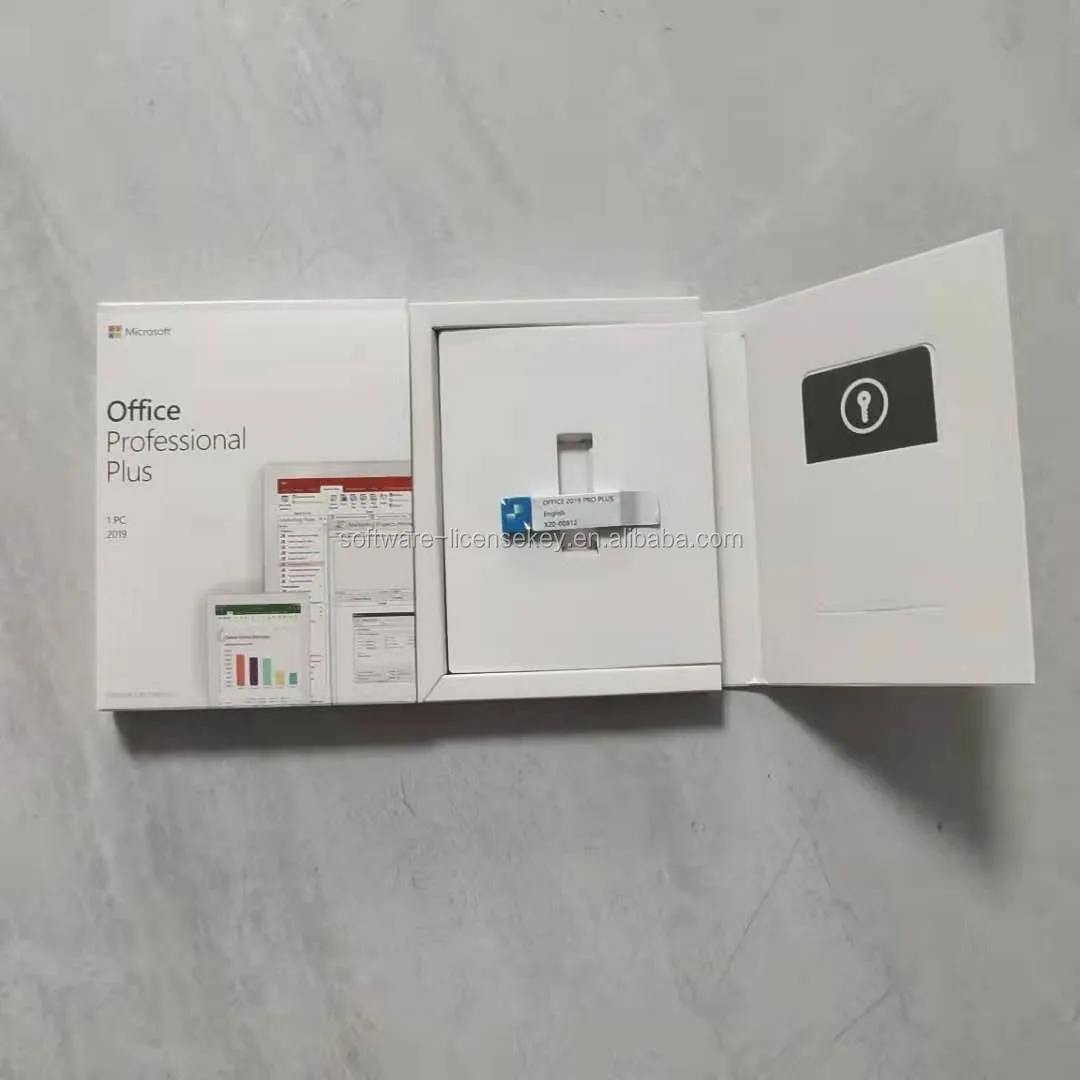 Офис 2019 Профессиональный USB полный пакет офис Pro Plus установка по