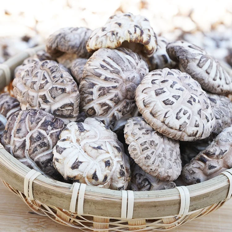 Свежие грибы устричный соус shiitake пищевые добавки и витамины