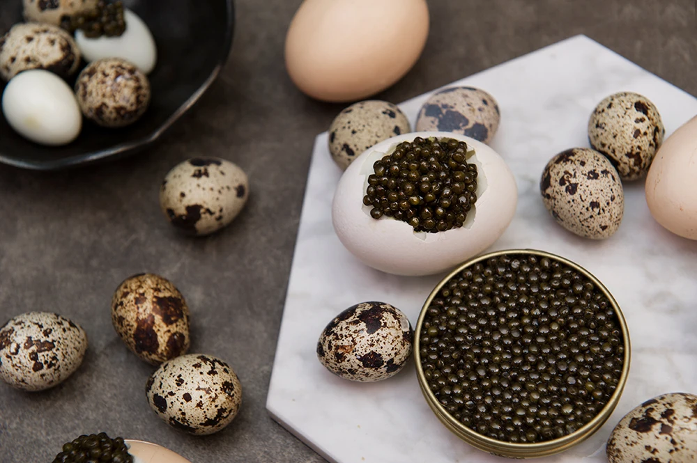 Wholesale sturgeon top grade fresh delicious caviar tins