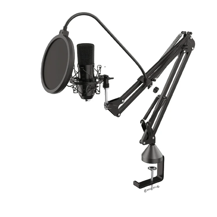 OEM Studio Equipment Recording Musical Professional Music Production Equipment Studio Recording Black Metal Wired KTV Room