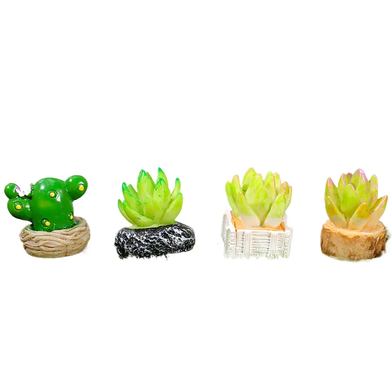 2407 wenqi Moss micro-landscape decoration cactus small potted zakka cargo succulent simulation plant
