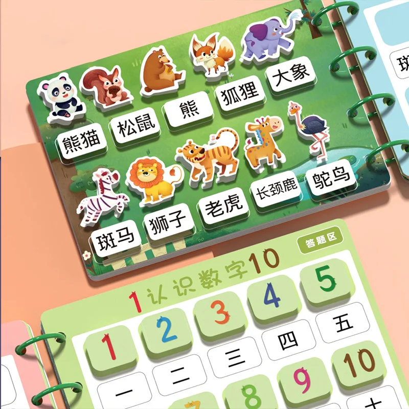 2024 Best Selling Early Educational Fun Literacy Card Words Shapes Patterns Cognition Learning Toys for Pre School Children CE