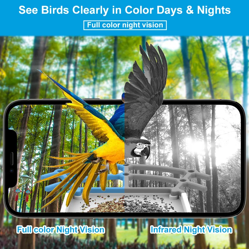 New Arrival Outdoor Solar Charging App Intelligent Bird Feeder 4MP 2.5K HD Camera AI Recognition Bird Species Feeder