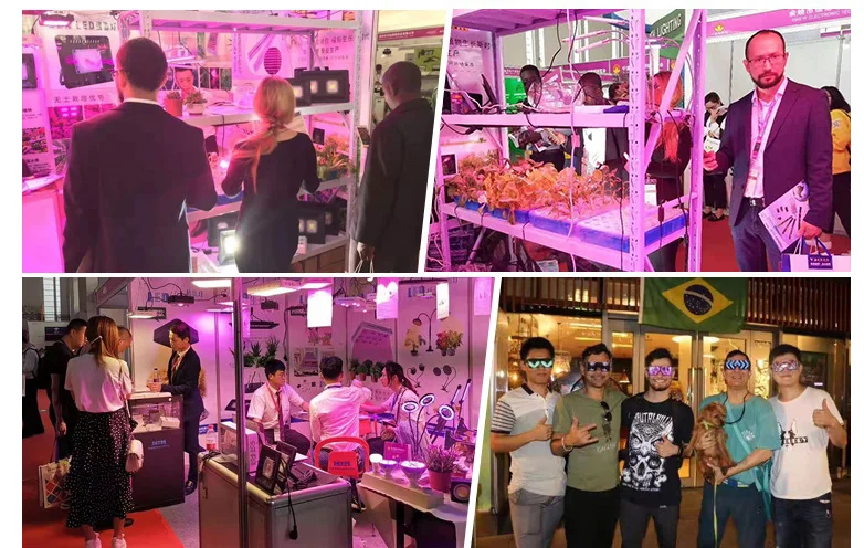 Tripod Stand Lamp ON/OFF Switch 150W LED Grow Light for Indoor Plants