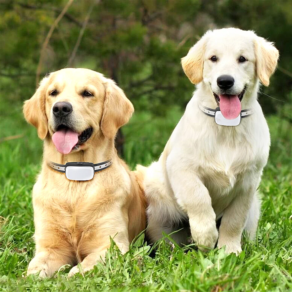 1000ft Amazon Top Sell Dog Training Collar Tize Rechargeable Anti Bark Waterproof Remote Dog Shock Collar