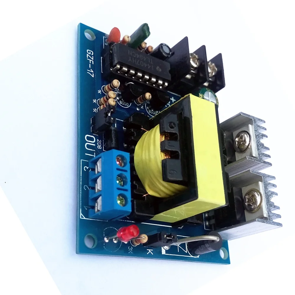 Taidacent DC 12V/24V to AC 0-110-220V Circuit Board Micro Inverter 100W Square Wave DC to High Frequency AC Converter