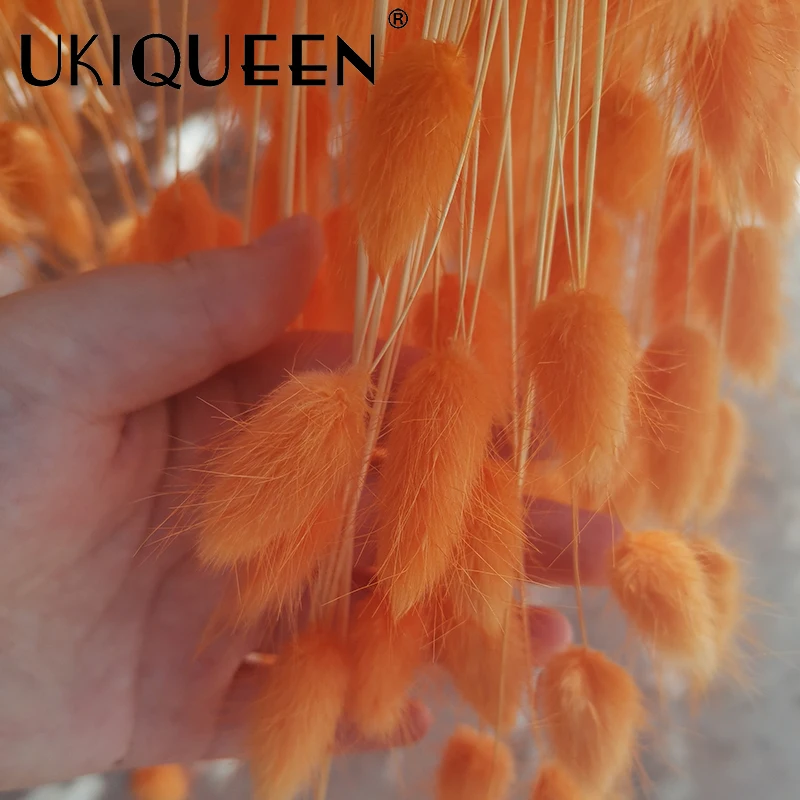 Yunnan Culinan factory wholesale dried flowers natural lagurus ovatus bunny rabbit tail grass