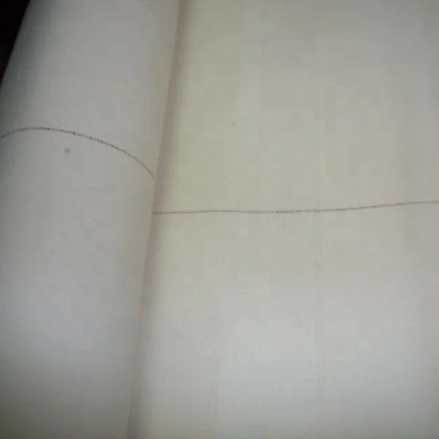 biscuit conveyor woven endless webbing