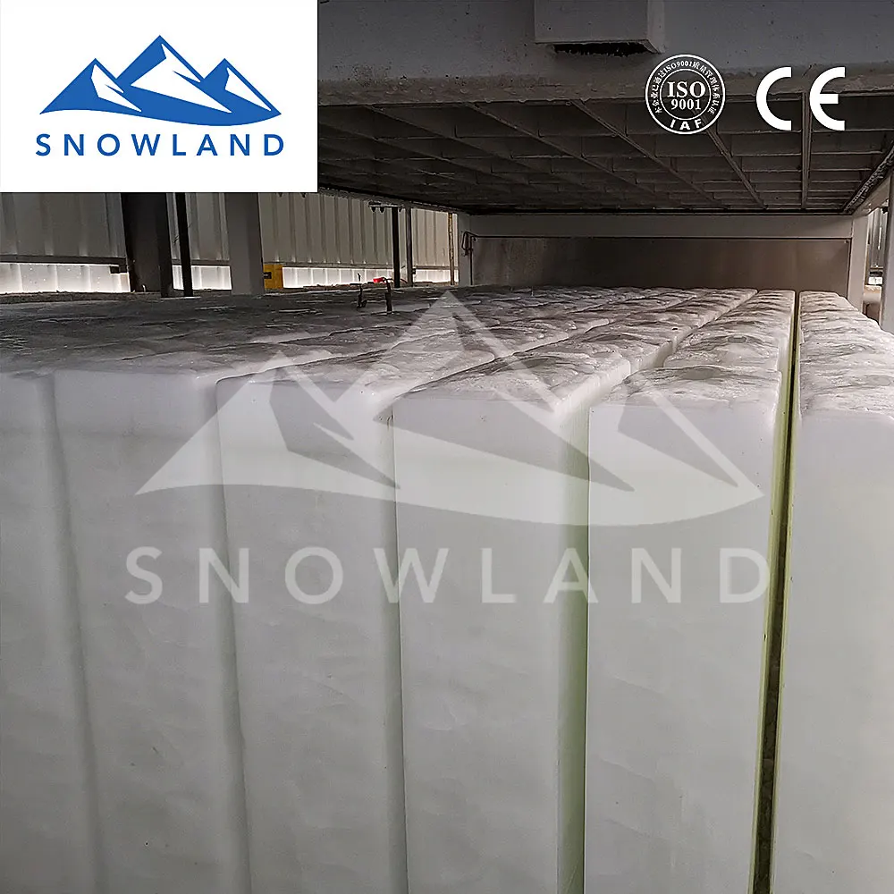 ice maker machine Malaysia with 3 ton  block ice, transportation/preservation of fruits and vegetables