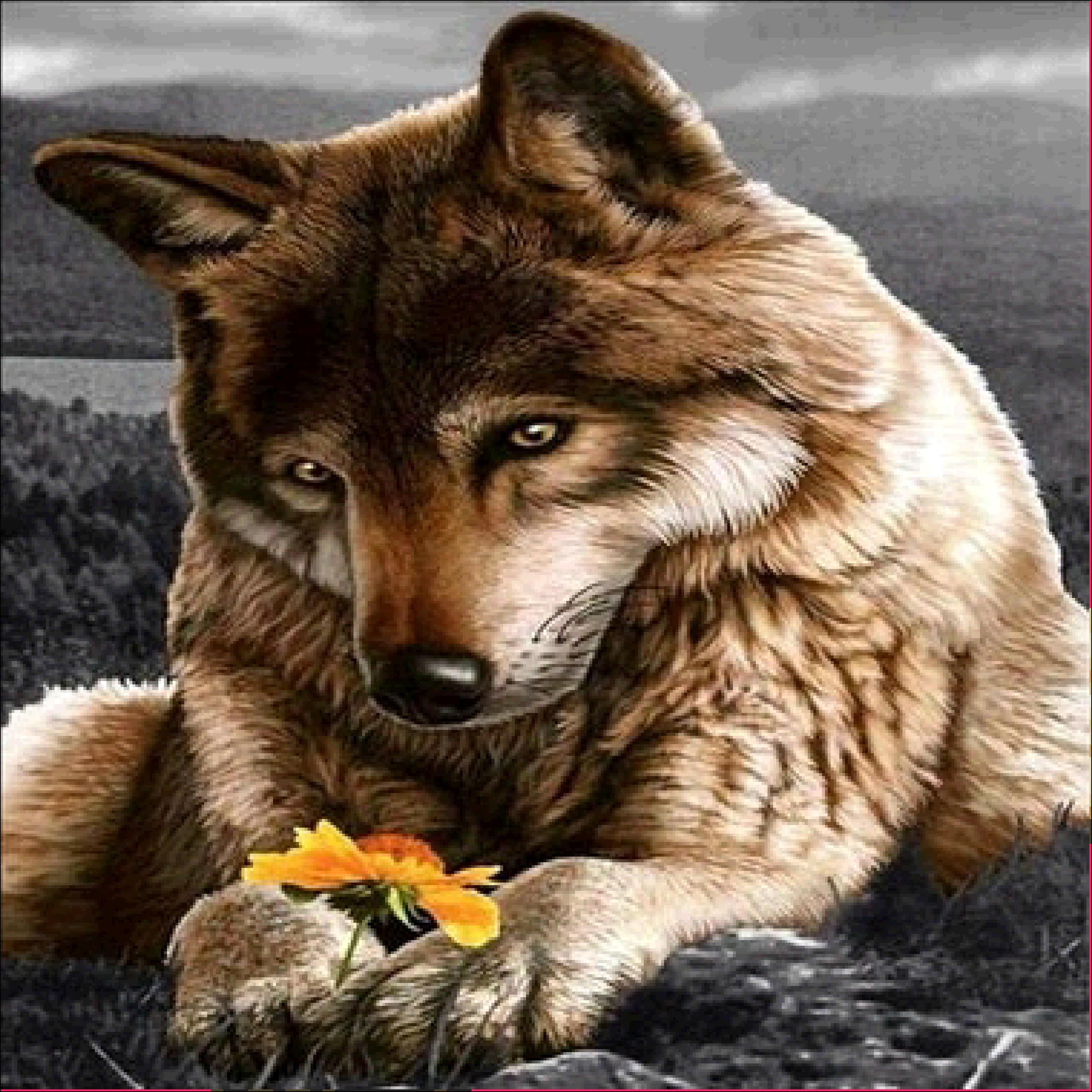 Cunzhen Pd-7756 Customizable Tender Acrylic Bead Holiday Gift Wolf Diamond Painting