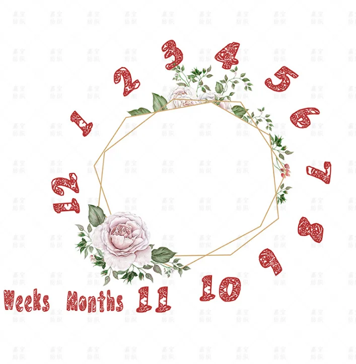 
Newborn Baby Children Blanket Photography Props High Quality Super Soft Flannel Baby Milestone Blanket 