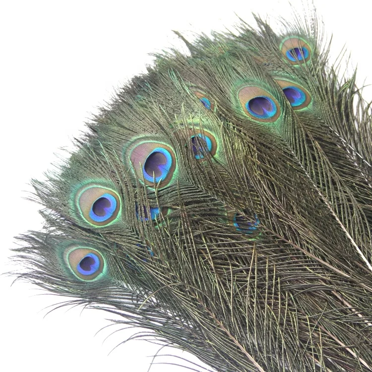 Natural Blue 90-100cm Peacock Feather Eyes Cheap Indian Natural Peacock Feathers For Sale