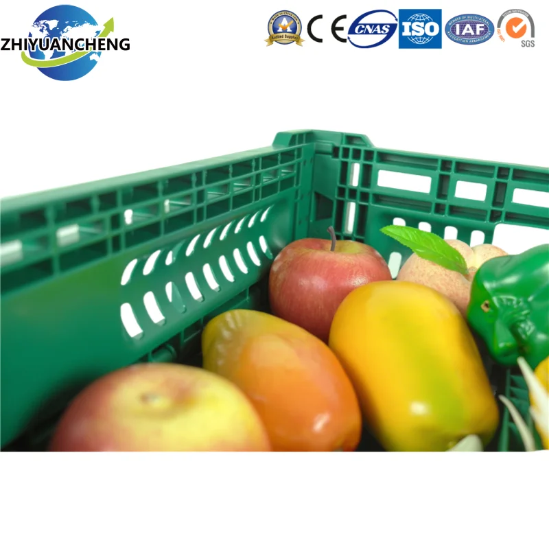 Plastic Collapsible Farm Folding Egg Box Vegetable & Fruit Crate Boxes Wholesale