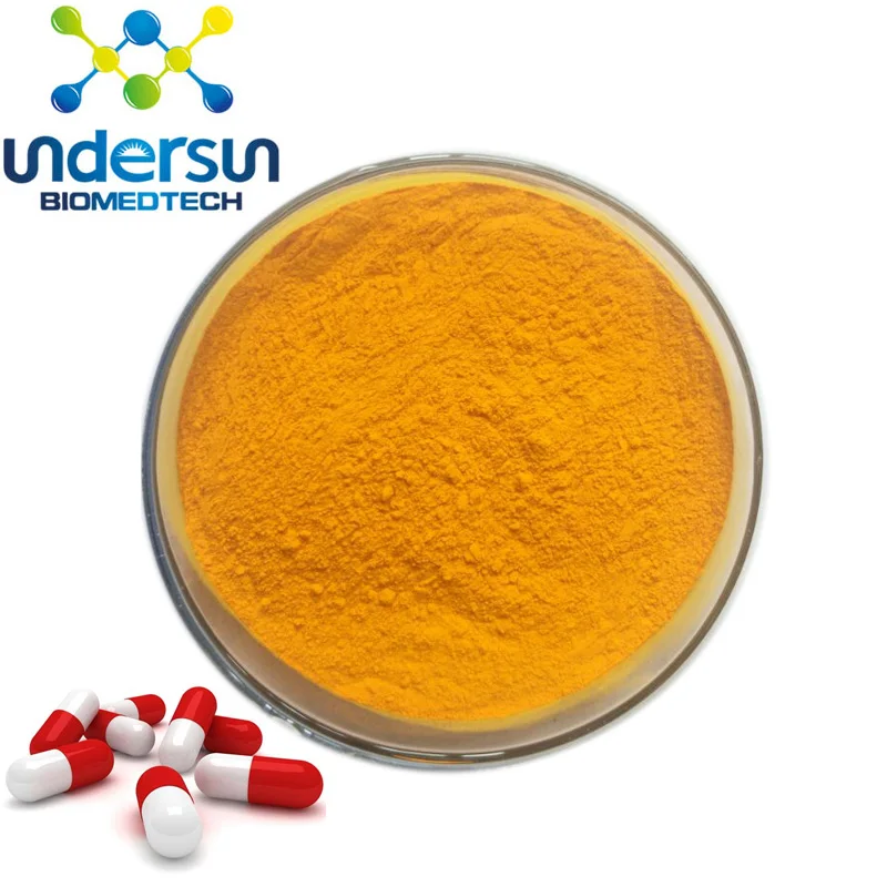 GMP фабрика питания надежное Индии турмерик куркума