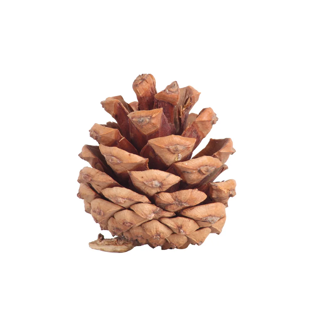 2022 Christmas Decorations Natural Christmas Tree Pine Cones Hanging Dry Flowers DIY Material Wreath Accessories