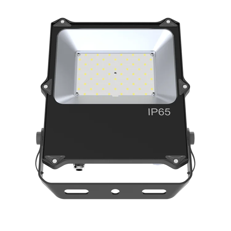 50W led flood light.1310 