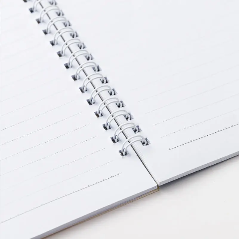 Cartoon School and Office Diary spiral notebook Kawaii Notebook