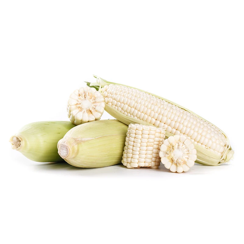 Best selling supplier factory frozen corn low price corn snacks  popular product white corn