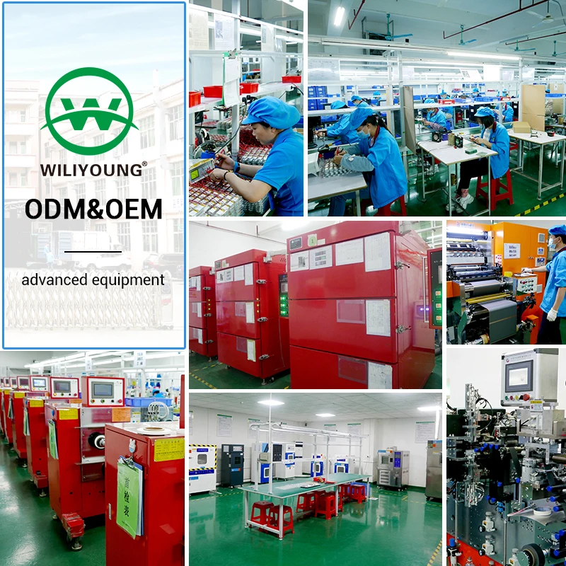 OEM ODM Battery Factory Direct Small Lithium Li Ion 3.7v 200mah 0.74wh 501240 051240 Rechargeable