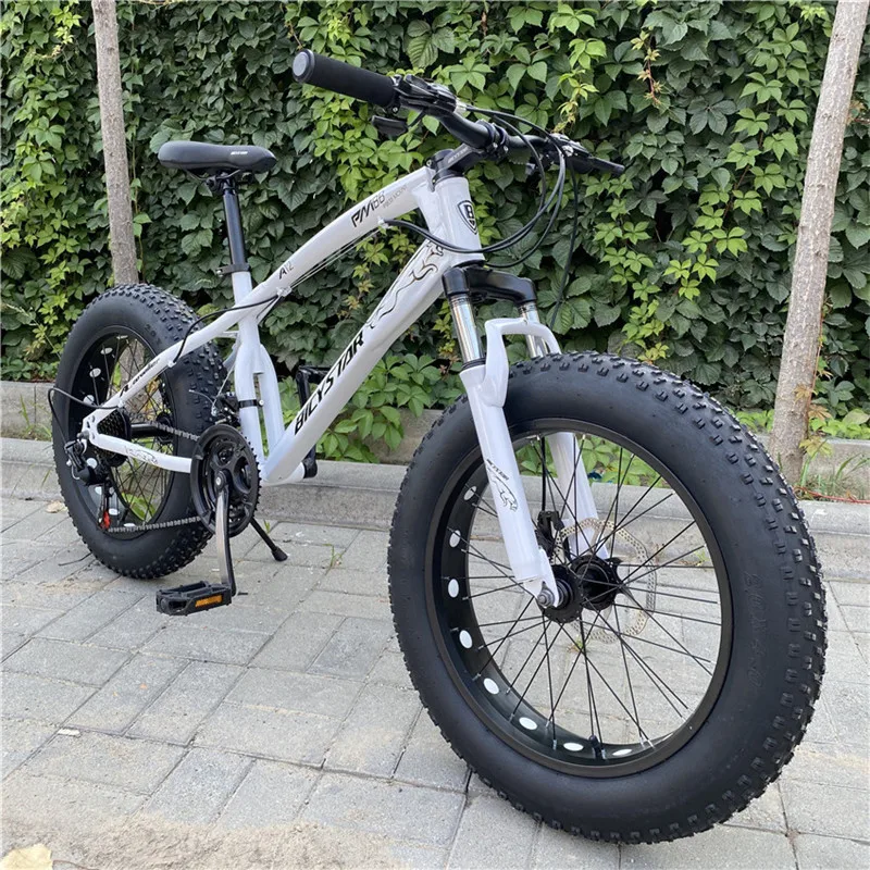20 inch colored fat tire steel frame in alloy wheel cash on delivery in India fat tyre 21 gear fat tyre bicycle for men