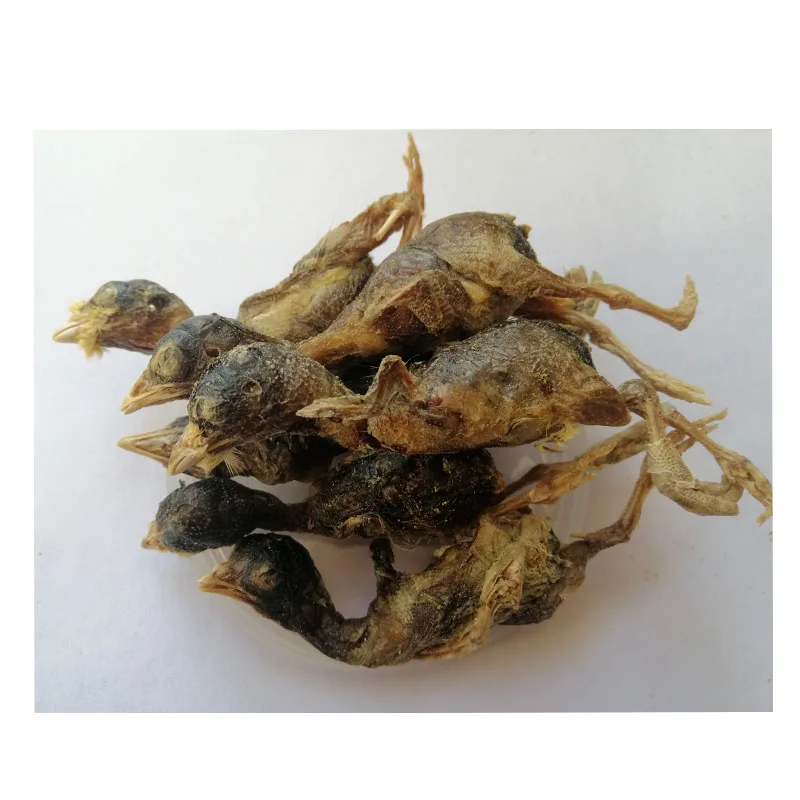 Freeze Dry Quail Pet Food Snack Foods Dog Cat Natural Freeze Dry Quail