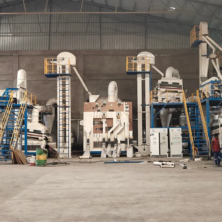 Red Lentils chickpea soybean cleaning stone removing grading polishing packing line machinery