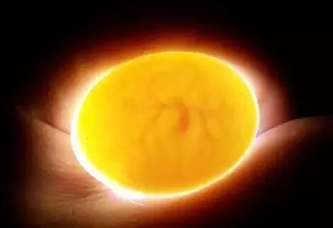 LED Chicken fertilised egg candler machine/ egg checking machine/ automatic egg candle tester candlelight